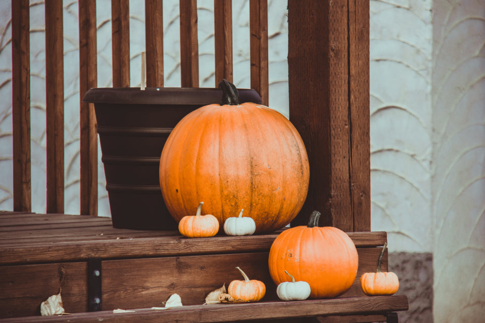Front porch decorated for Halloween