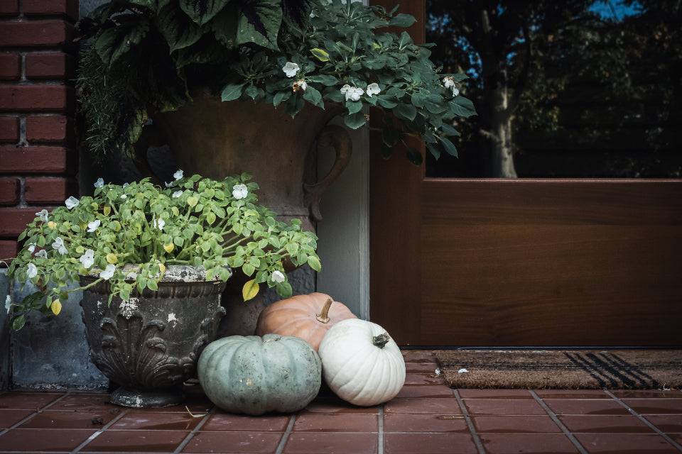 Front porch steps with pumpkins and mums